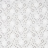 Sitara White Hakoba Fabric